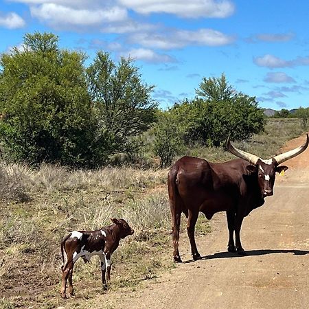 Tzamenkomst River Lodge Colesberg Dış mekan fotoğraf