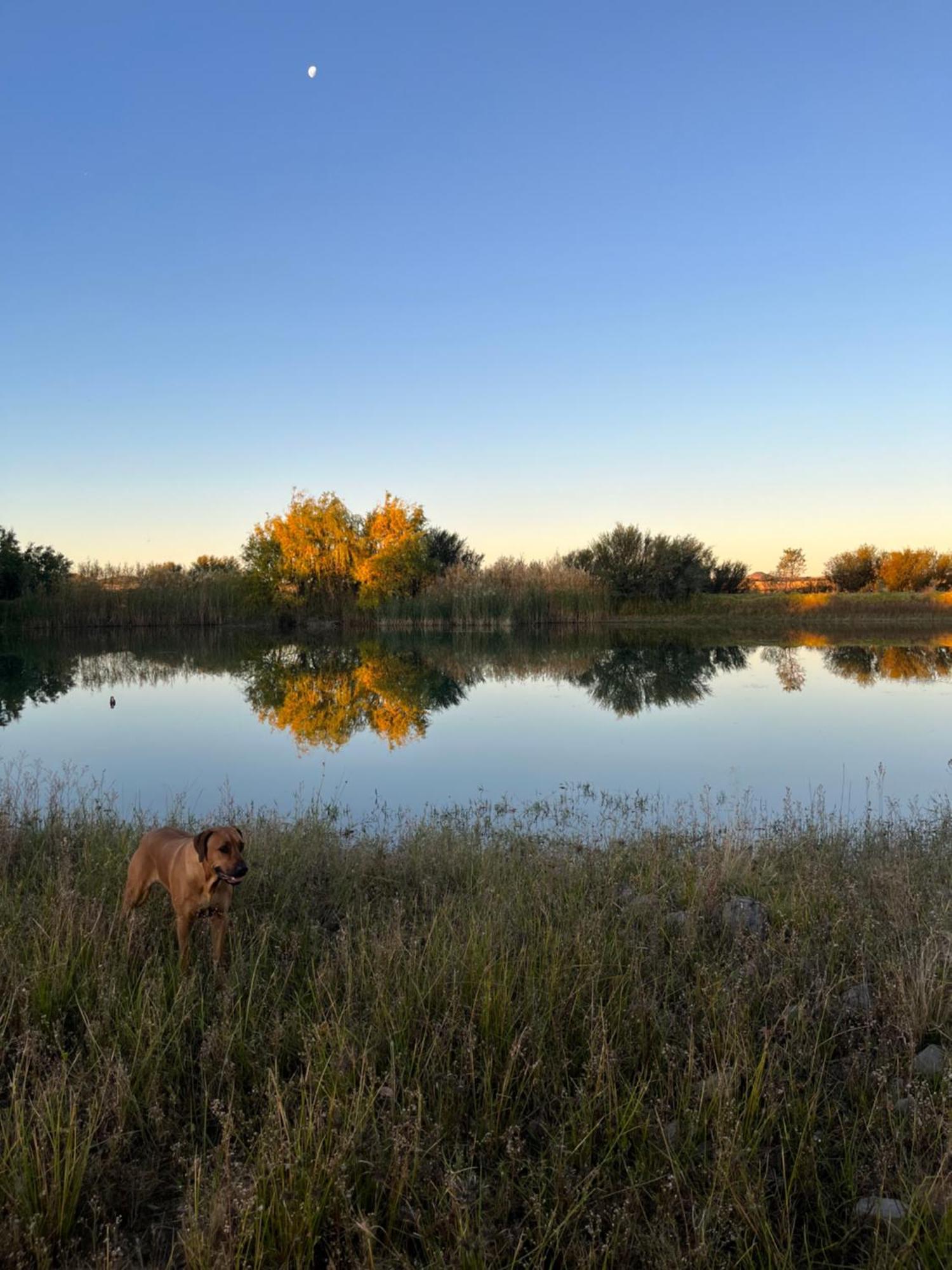 Tzamenkomst River Lodge Colesberg Dış mekan fotoğraf