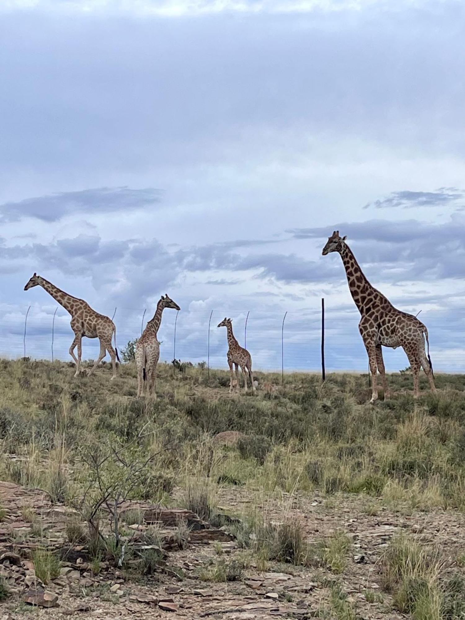 Tzamenkomst River Lodge Colesberg Dış mekan fotoğraf